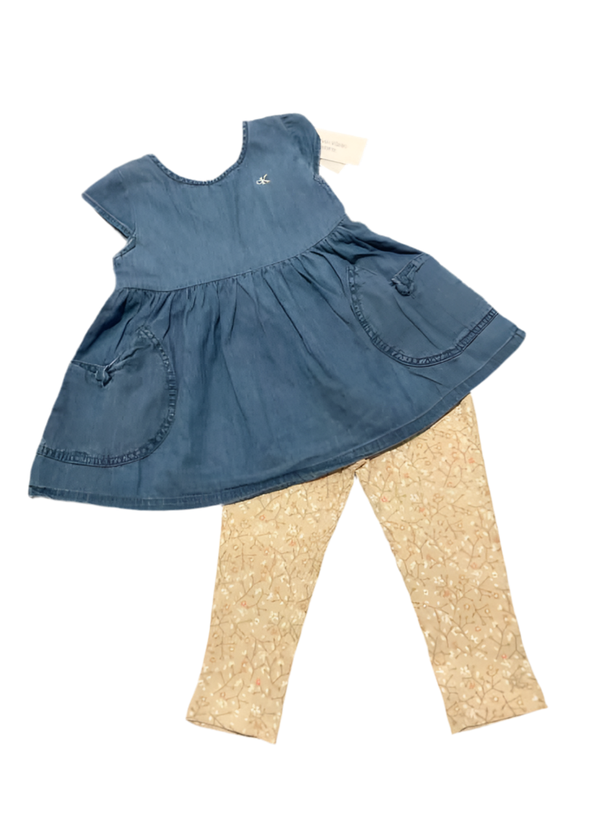 Calvin Klein (B) Brown Blue Toddler Size 4T Girl's 2PCCasual