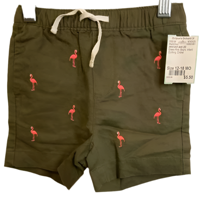Janie and Jack (A) Green Pink Infant Size 12-18 MO ShortChino