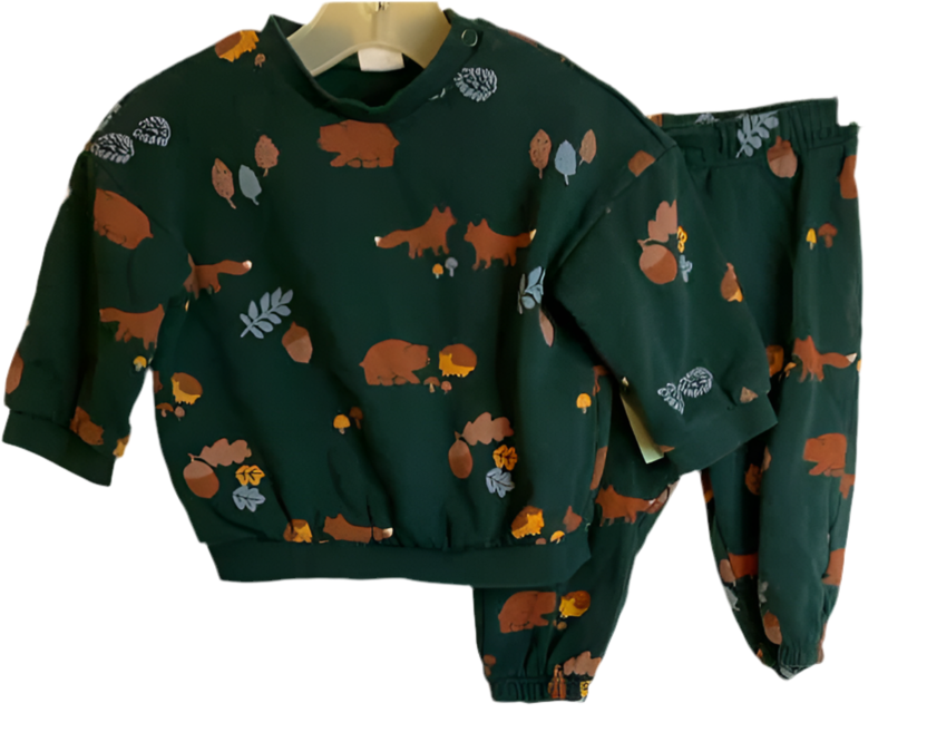 H & M (D) Brown Green Infant Size 9 MO 2PC Casual