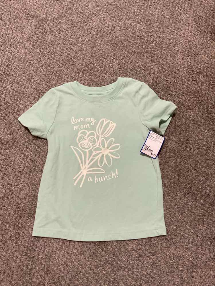Cat and Jack (D) White Green Toddler Size 2T Girl's SSTop