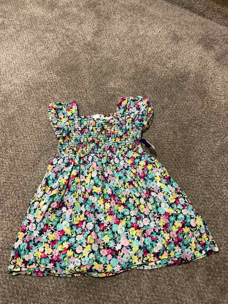 Gap Kids (B) Floral Toddler Size 4-5 Girl's CasualDress