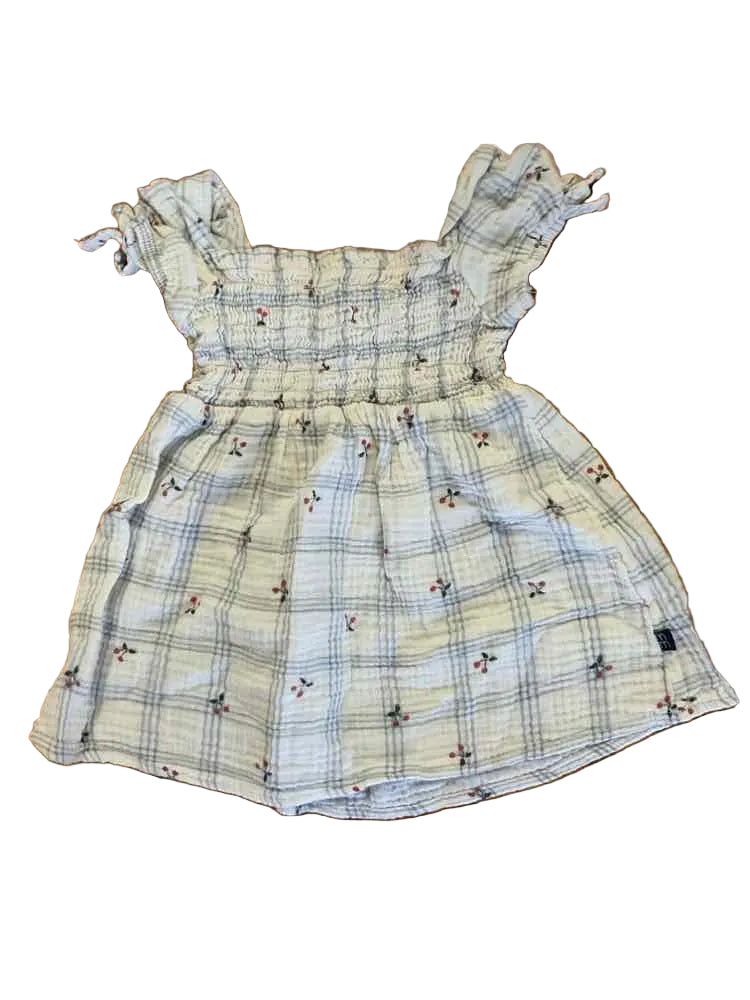 Modern Moments by Gerber (D) Gingham Infant Size 18 MO Girl's CasualDress