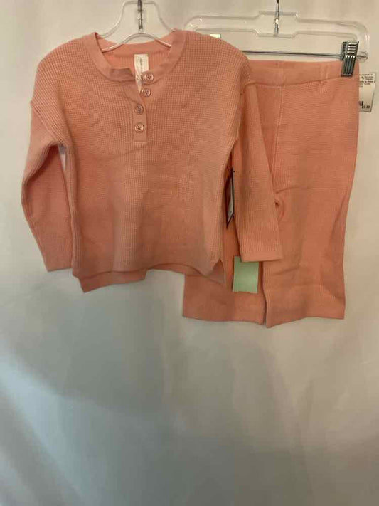 Modern Moments by Gerber (D) Light Pink Toddler Size 2T 2PCCasual