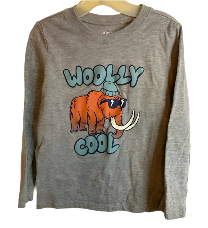 Carters (C) Gray Toddler Size 5T LSTop