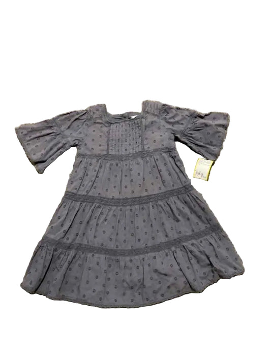 Zara (B) Gray Toddler Size 3T Girl's CasualDress