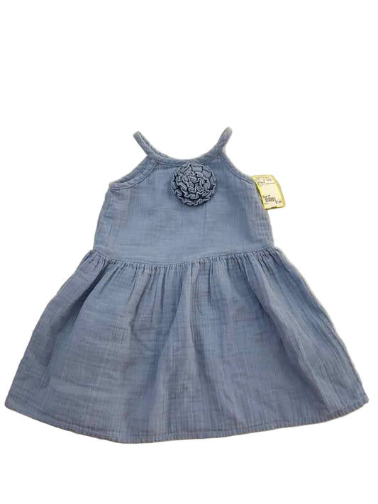 Baby Gap (B) Blue Toddler Size 3T Girl's Sundress