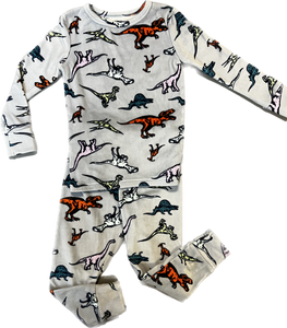 Boys Toddler 3T Cat & Jack 2 Piece Sleepwear