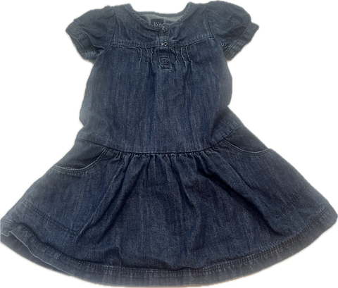 Girls Toddler 4T BabyGap Casual Dress