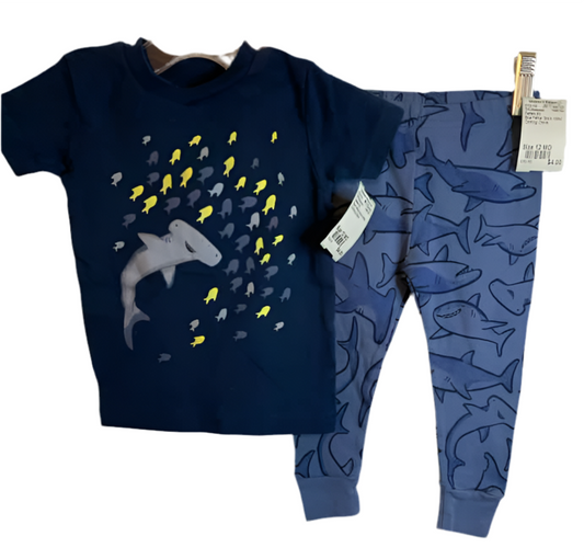 Carters (C) Blue Yellow Infant Size 12 MO 2PCSleepwear