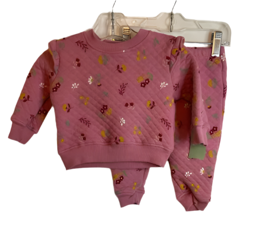 Koala Baby (D) Floral Infant Size 9 MO 2PC Casual