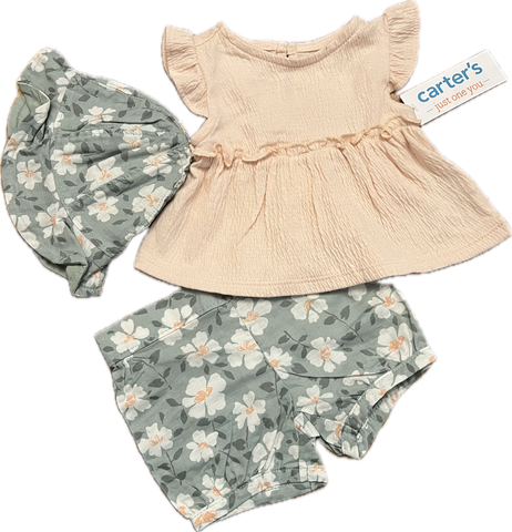 Girls NWT NB Carters Casual 3PC Set
