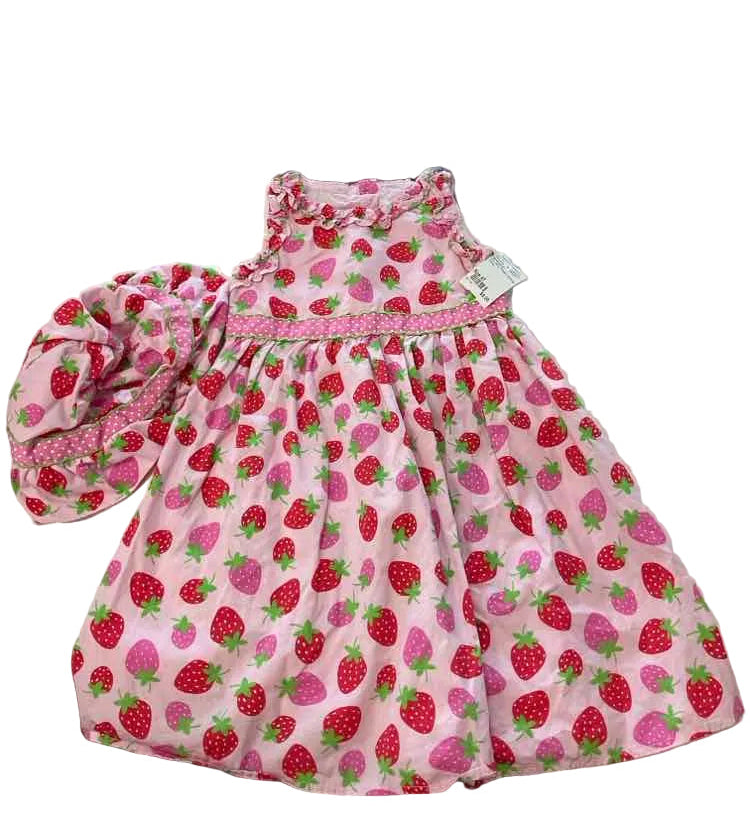 Gymboree (C) Pink Toddler Size 4T Girl's 2PCCasual