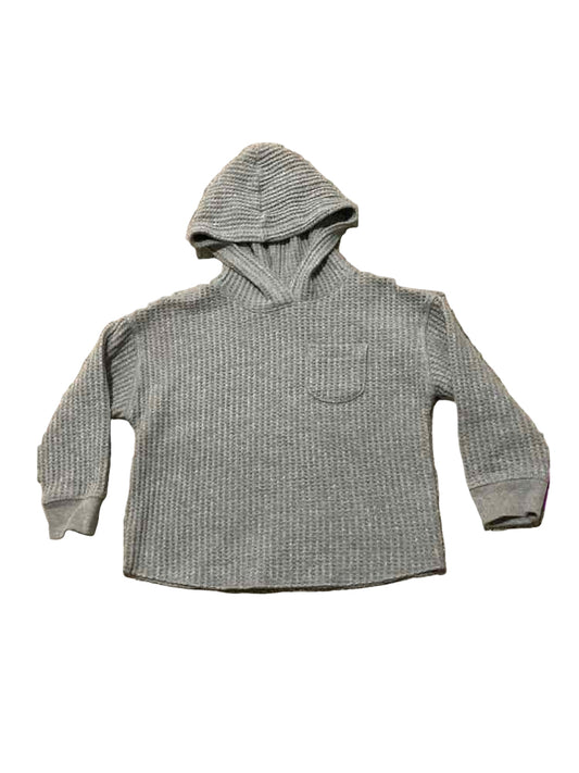 Cat and Jack (D) Gray Toddler Size 3T Boy's LSTop